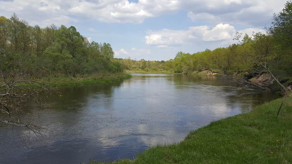 Завихрения на поверхности воды на реке